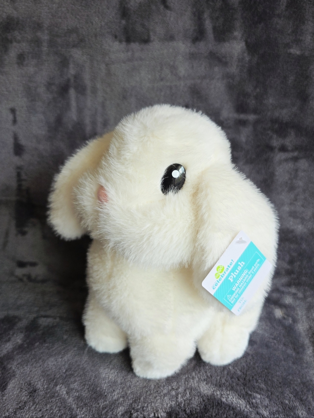 New WAY TO CELEBRATE Easter 2026 Medium white Plush Bunny special needs support
